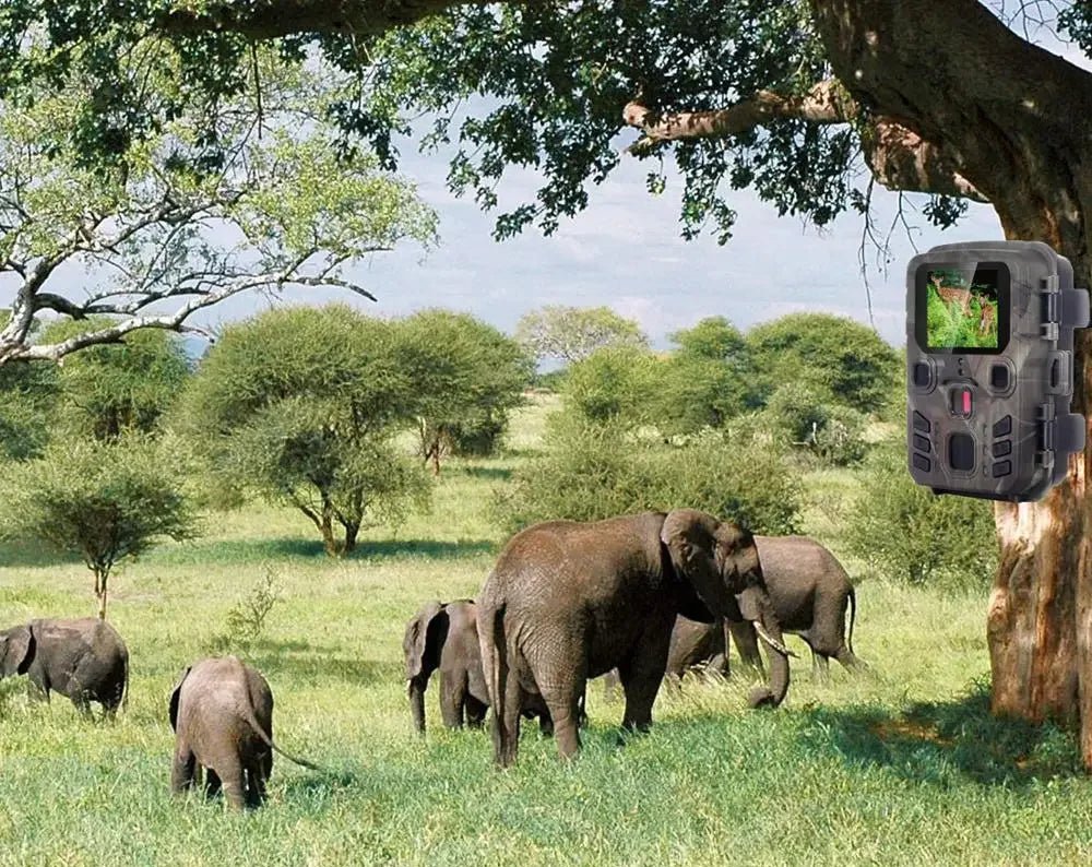 Caméra de Chasse Bluetooth - Rando Store™