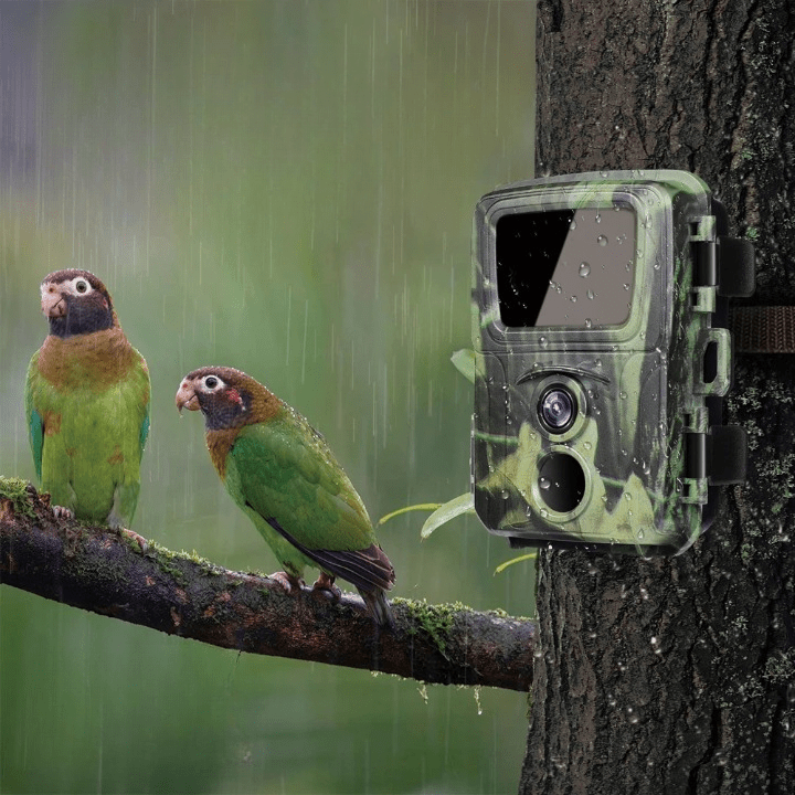 Mini Caméra de Chasse - Rando Store™